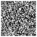 QR code with Carpet V contacts