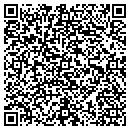 QR code with Carlson Software contacts