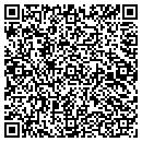 QR code with Precision Services contacts