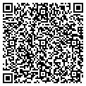 QR code with Synez contacts