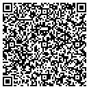 QR code with Pump It Up Party contacts