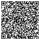 QR code with Blue Ridge Home Care contacts