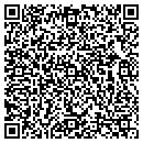 QR code with Blue Steel Software contacts