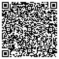 QR code with Ansco contacts