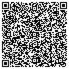 QR code with Blimpie Subs & Salads contacts