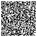 QR code with Datalytics Inc contacts