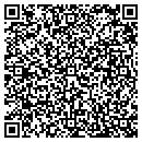 QR code with Carter's Auto World contacts