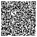 QR code with Pavex contacts