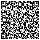 QR code with Professional Painter contacts