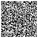 QR code with Primarily Primitive contacts