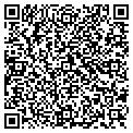QR code with Alltel contacts