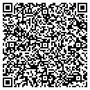 QR code with Pyramid Vending contacts