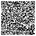 QR code with AMS contacts