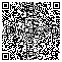 QR code with T M P contacts