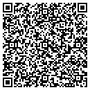 QR code with Professional Income Tax contacts