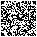 QR code with Celi's Party Supply contacts