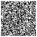 QR code with Professional Tax Filers contacts