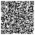 QR code with Palace contacts