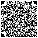 QR code with Pressed4time contacts