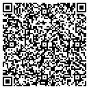 QR code with Blue Ox Tree Service contacts