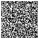 QR code with Cobb Consulting Inc contacts
