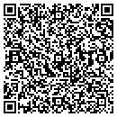 QR code with Public Works contacts