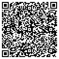 QR code with Doggery contacts
