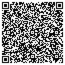 QR code with Professional Striping contacts