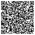 QR code with Cignal contacts