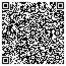 QR code with Providerlink contacts