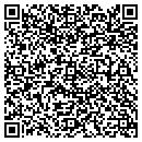 QR code with Precision Scan contacts