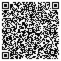 QR code with AIG contacts
