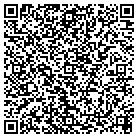 QR code with Public Consulting Group contacts