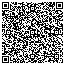 QR code with Chelesa Penny Store contacts