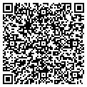 QR code with Allens contacts