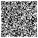 QR code with Precise Power contacts