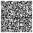 QR code with Carteam Auto Sales contacts