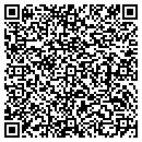 QR code with Precision Performance contacts
