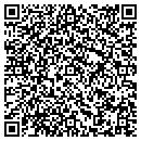 QR code with Collaborative Institute contacts