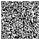 QR code with Consumer Technologies contacts