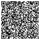 QR code with Blaney Electric Inc contacts