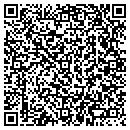 QR code with Productivity Point contacts