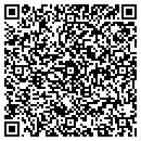 QR code with Collier Mechanical contacts