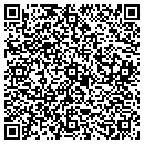 QR code with Professional Service contacts