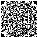 QR code with Premiere Plastering contacts