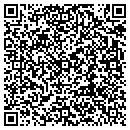 QR code with Custom Pools contacts