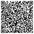 QR code with Practice Partner Inc contacts