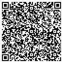 QR code with Carters Auto Sales contacts