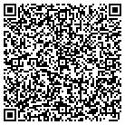 QR code with Professional Carpet Systems contacts