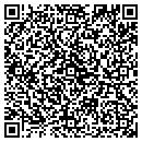 QR code with Premier Lighting contacts